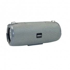 Speaker Bluetooth Home DJ SUMMER - Grey