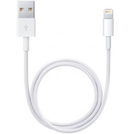 cable lightning apple iphone tunisie