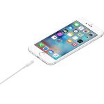 Câble Lightning vers USB 1m