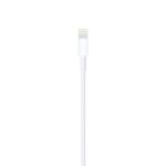 Câble Lightning vers USB 1m