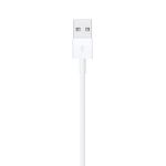 Câble Lightning vers USB 1m