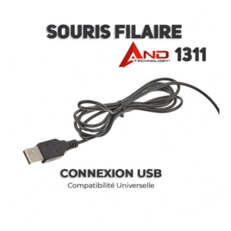souris and-1311