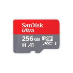 Carte Mémoire 256 Go SanDisk Class 10 A1