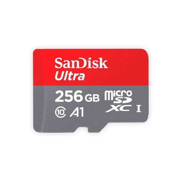 Carte Mémoire 256 Go SanDisk Class 10 A1