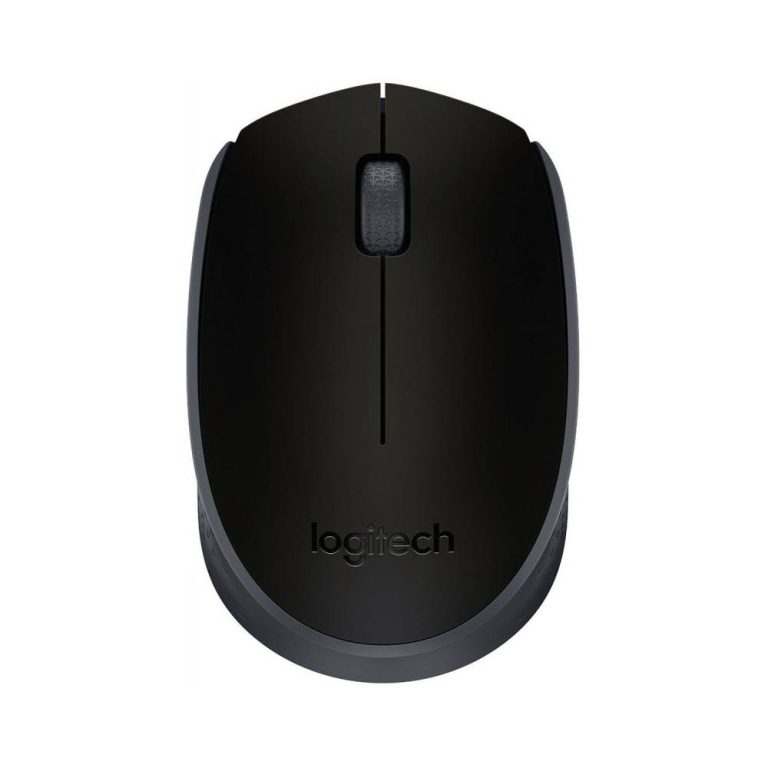 souris Logitech sans fil M171 noir